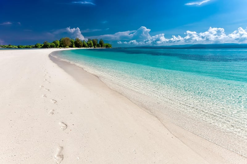 Seaside Serenity